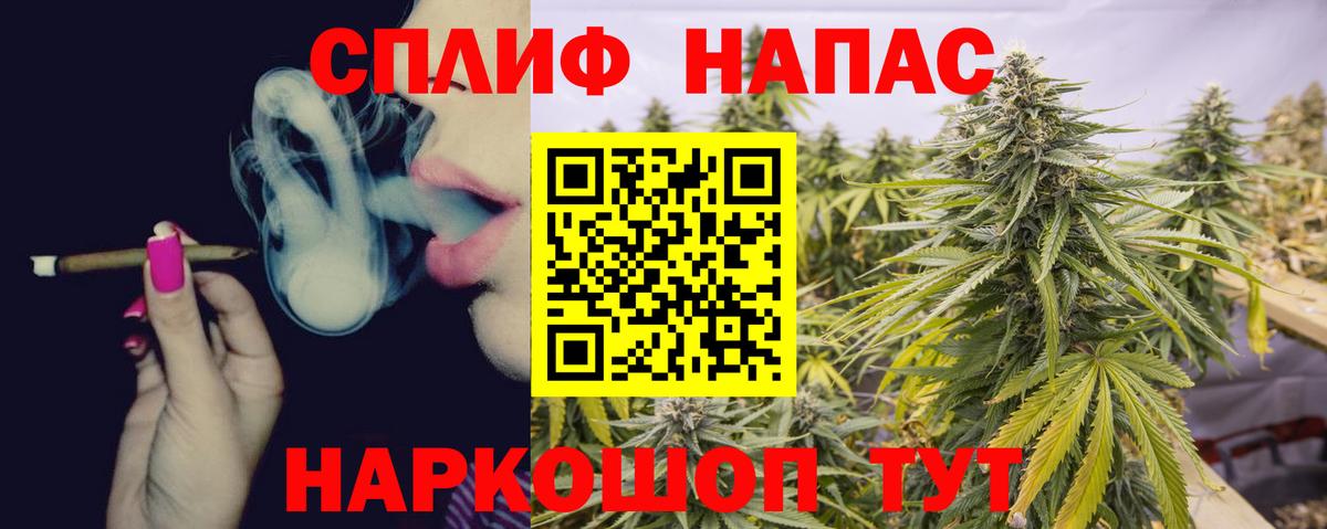 Конопля гибрид  Вход с VPN  Конопля MAZAR  Серов  Марихуана семена 